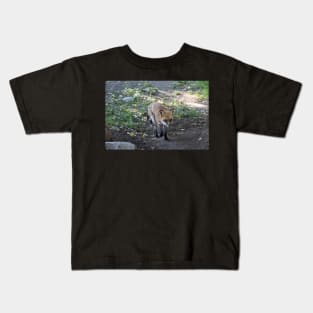 Shedding Red Fox Kids T-Shirt